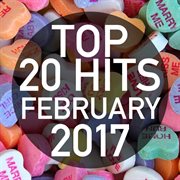 Top 20 hits february 2017 cover image