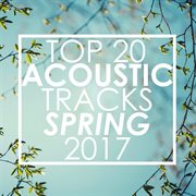 Top 20 acoustic tracks spring 2017 (instrumental) cover image