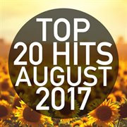 Top 20 hits august 2017 (instrumental) cover image