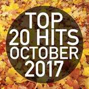 Top 20 hits october 2017 (instrumental) cover image