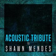 Acoustic tribute to shawn mendes (instrumental) cover image