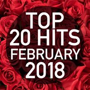 Top 20 hits february 2018 (instrumental) cover image