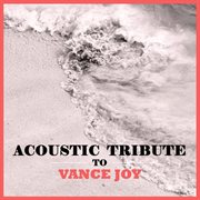 Acoustic tribute to vance joy (instrumental) cover image