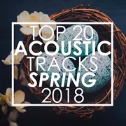 Top 20 acoustic tracks spring 2018 (instrumental) cover image