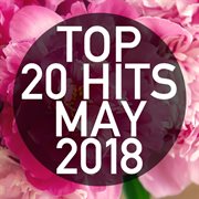 Top 20 hits may 2018 (instrumental) cover image