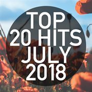 Top 20 hits july 2018 (instrumental) cover image