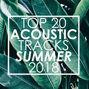 Top 20 acoustic tracks summer 2018 (instrumental) cover image