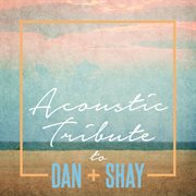 Acoustic tribute to dan + shay cover image