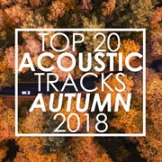 Top 20 acoustic tracks autumn 2018 (instrumental) cover image