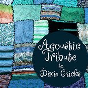 Acoustic tribute to dixie chicks (instrumental) cover image
