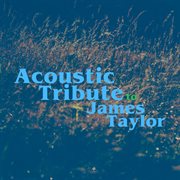 Acoustic tribute to james taylor (instrumental) cover image