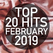 Top 20 hits february 2019 (instrumental) cover image