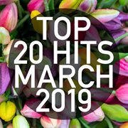 Top 20 hits march 2019 (instrumental) cover image