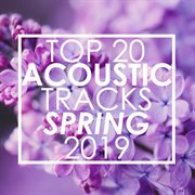 Top 20 acoustic tracks spring 2019 (instrumental) cover image