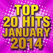 Top 20 hits january 2014 cover image