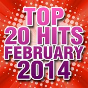 Top 20 hits february 2014 cover image