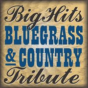Big hits country & bluegrass tribute cover image
