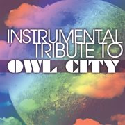 Owl city instrumental tribute cover image