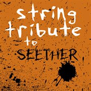 String tribute to seether cover image