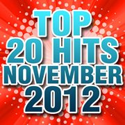 Top 20 hits november 2012 cover image