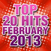 Top 20 hits february 2013 cover image