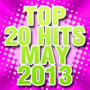 Top 20 hits may 2013 cover image