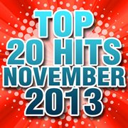 Top 20 hits november 2013 cover image
