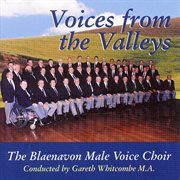 Voices from the valleys cover image