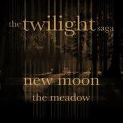 The twilight saga cover image