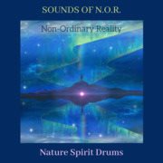 Sounds of non-ordinary reality (n.o.r) cover image