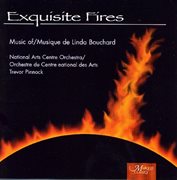 Exquisite fires cover image