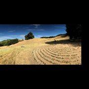 Ej Vol Ii cover image