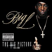 The big picture cover image