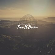 Tone it down cover image