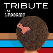 Tribute to ludacris cover image