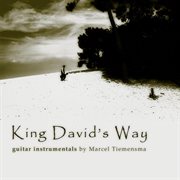 King david's way cover image