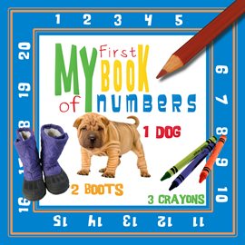 Cover image for My First Book of Numbers