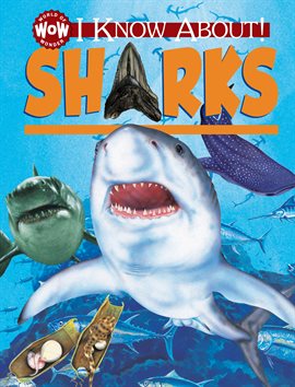 Cover image for I Know About! Sharks