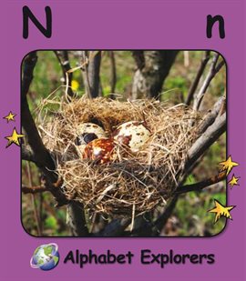 Cover image for Alphabet Explorers: Nn