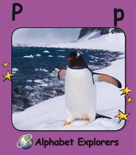 Cover image for Alphabet Explorers: Pp