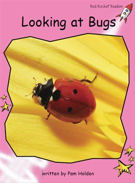 Image de couverture de Looking at Bugs