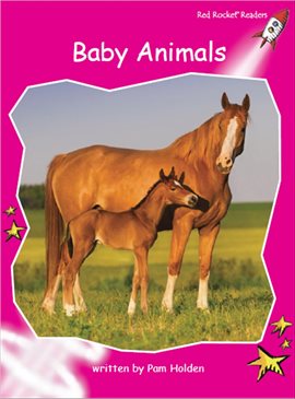 Imagen de portada para Baby Animals