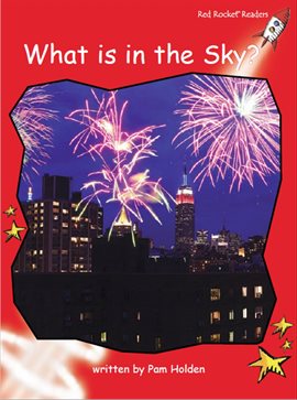Cover image for What is in the Sky?