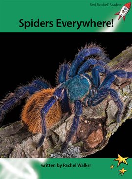 Cover image for Spiders Everywhere!