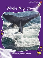 Whale migrations cover image
