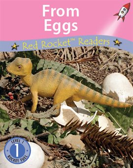 Cover image for From Eggs