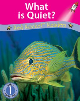 Cover image for What is Quiet?