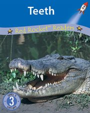 Teeth cover image