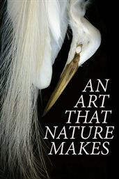 An art that nature makes: the work of rosamond purcell cover image
