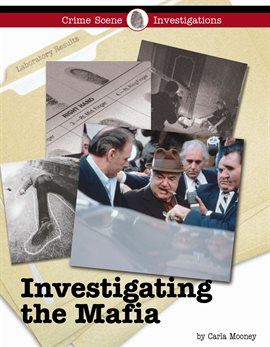 Cover image for Investigating the Mafia